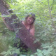 NATALI, 42 (1 ����, 0 �����)